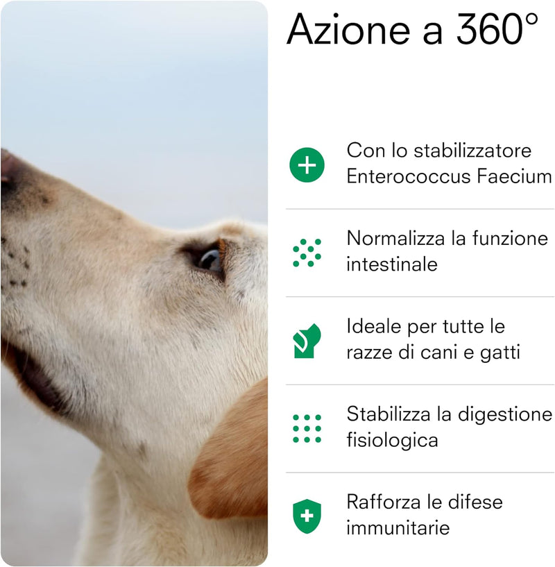 lelapo Fermenti+, 60cps Naturali per Cane e Gatto - Integratore per il contrasto ai Fastidi Intestinali, per Il Benessere dell'Intestino