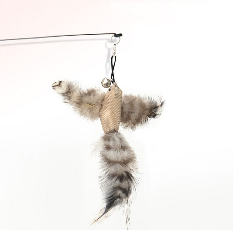 Petpand gioco gatti uccellino gioco per gatti