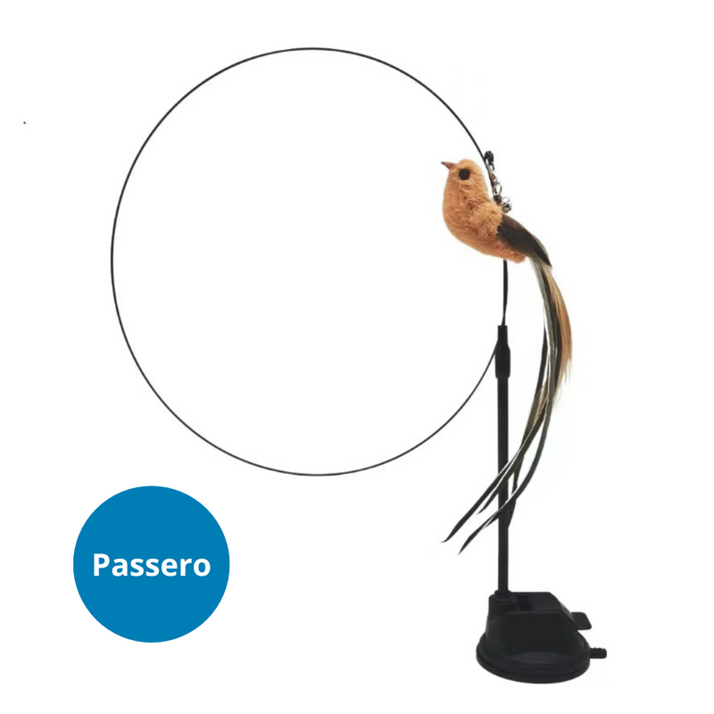 Petpand gioco gatti uccellino passero
