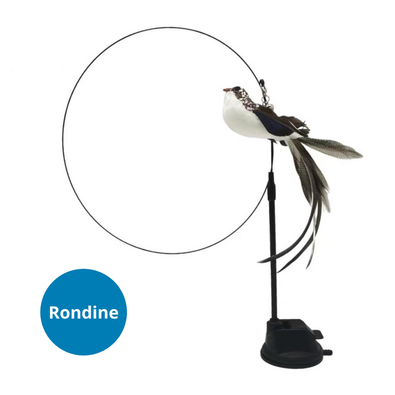 Petpand gioco gatti uccellino rondine
